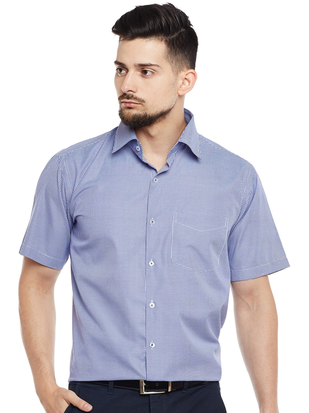 Men Blue & White Checked Regular Fit Formal Shirt