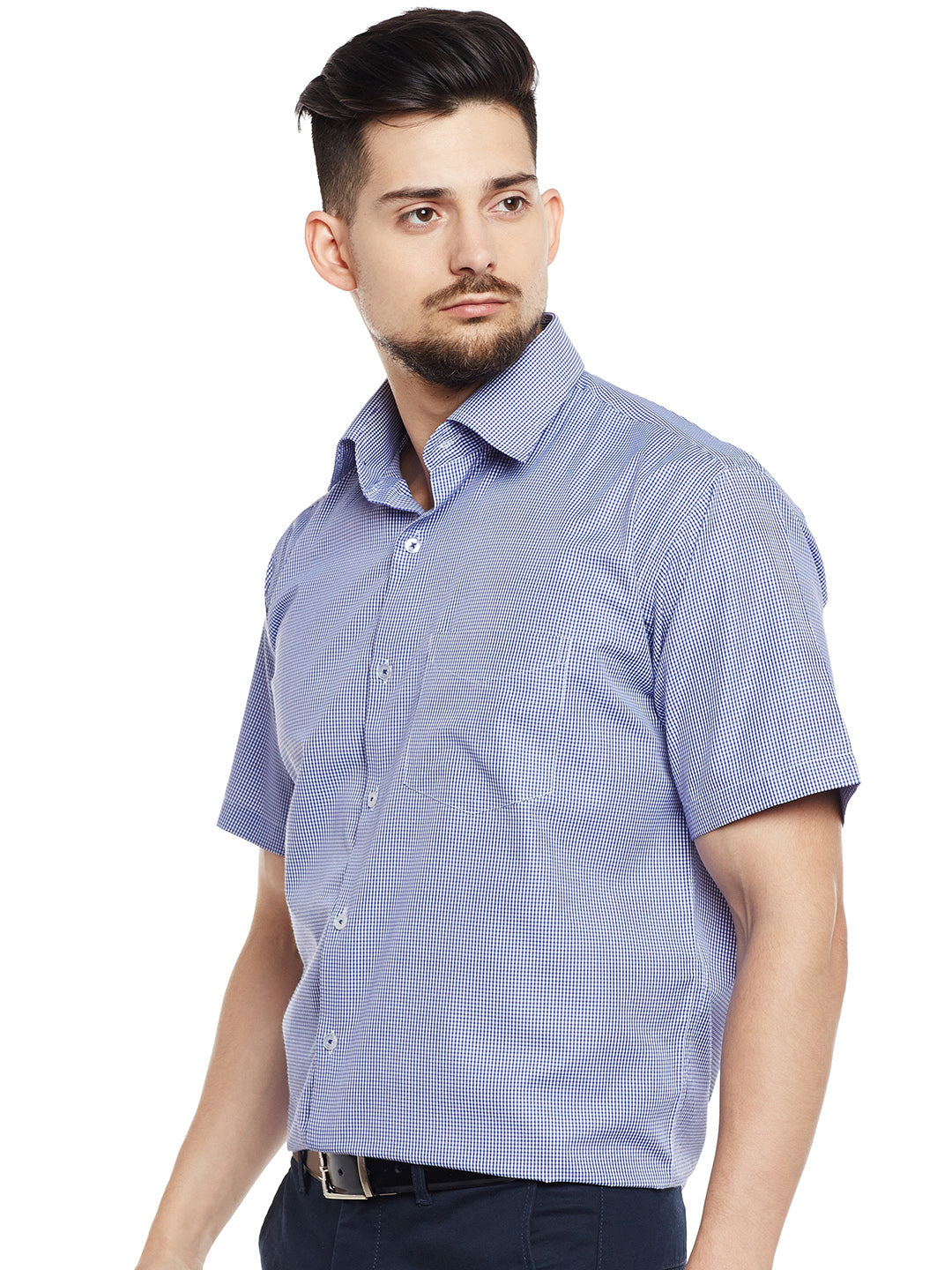 Men Blue & White Checked Regular Fit Formal Shirt
