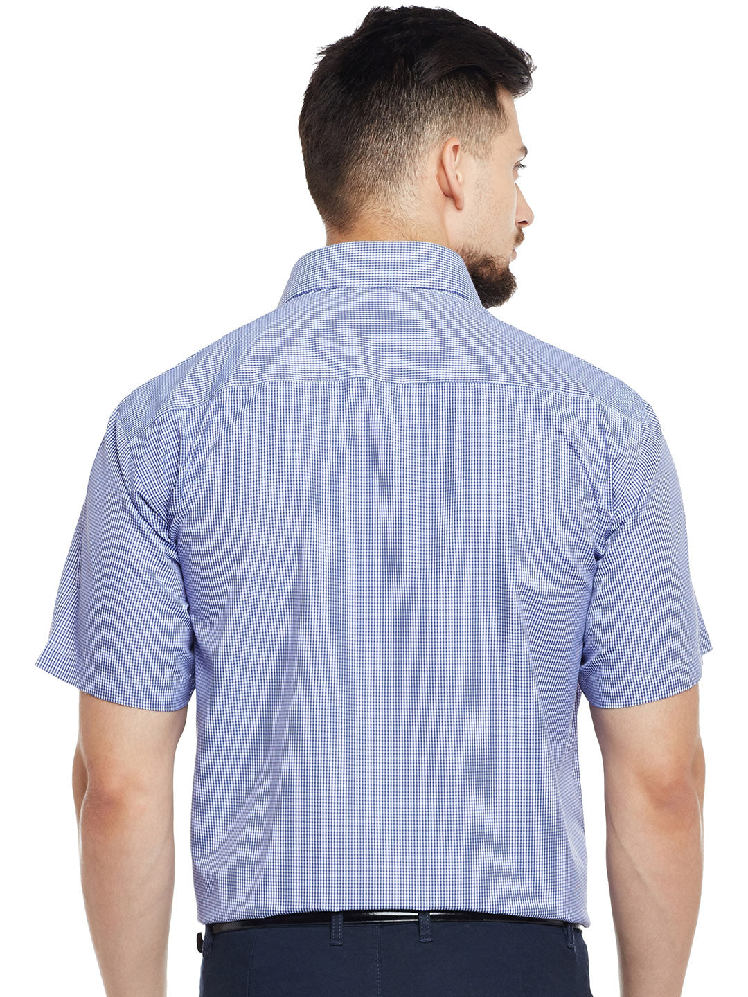 Men Blue & White Checked Regular Fit Formal Shirt