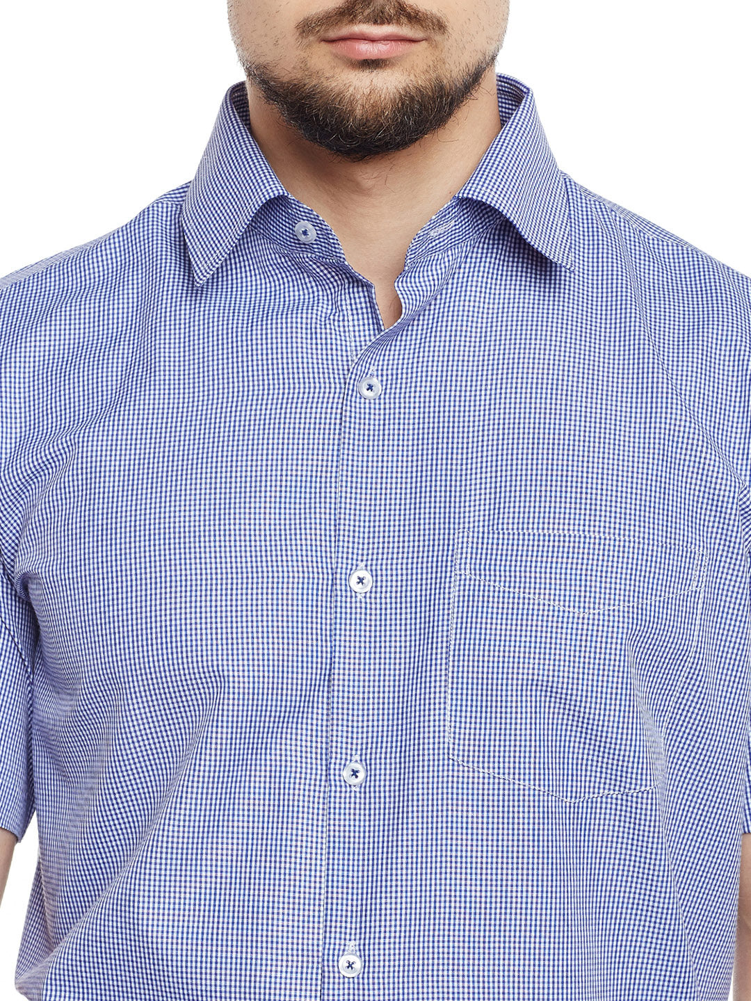 Men Blue & White Checked Regular Fit Formal Shirt