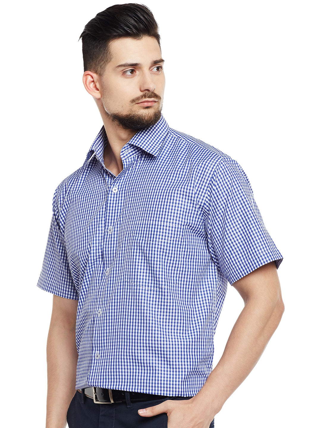 Men Blue & White Checked Regular Fit Formal Shirt