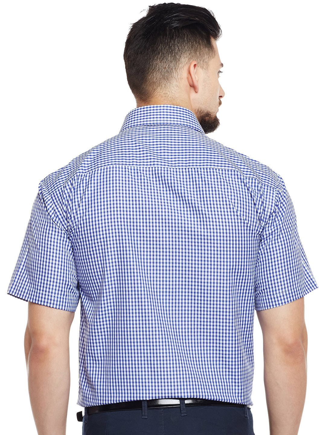 Men Blue & White Checked Regular Fit Formal Shirt