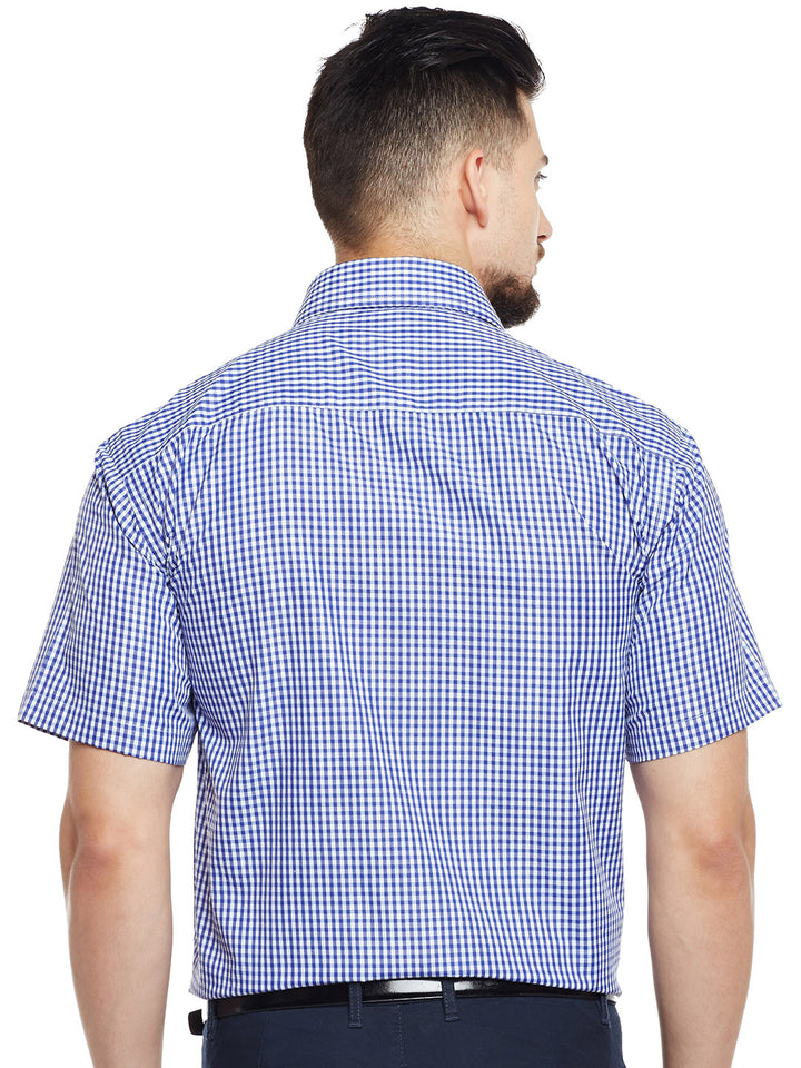 Men Blue & White Checked Regular Fit Formal Shirt