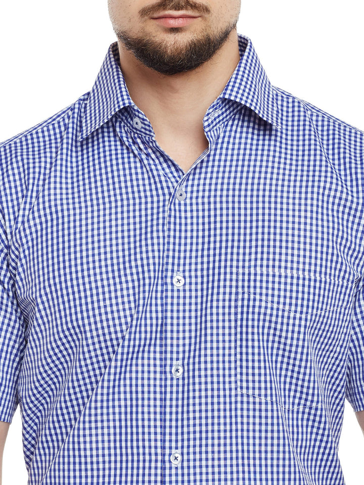 Men Blue & White Checked Regular Fit Formal Shirt