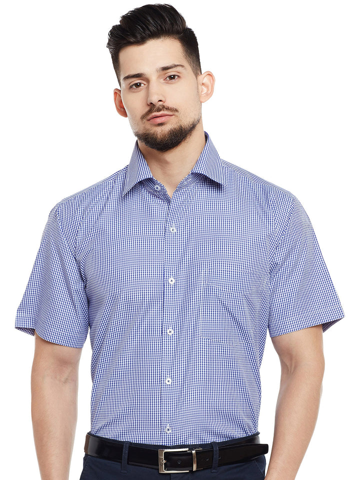 Men Blue & White Checked Regular Fit Formal Shirt