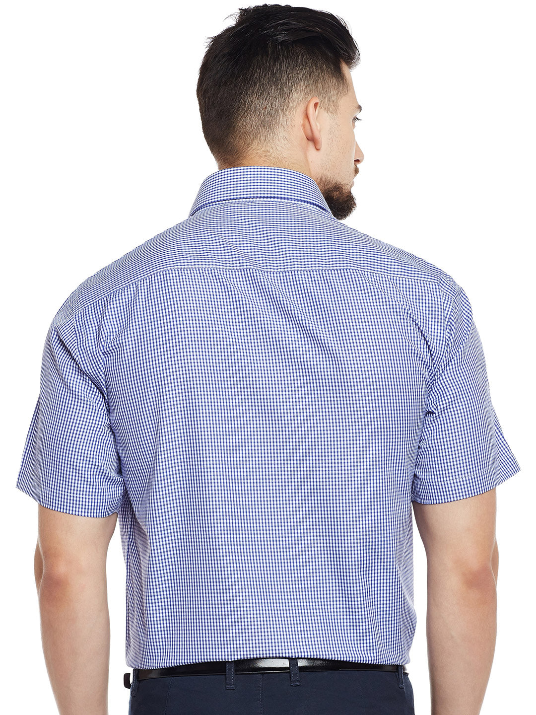 Men Blue & White Checked Regular Fit Formal Shirt