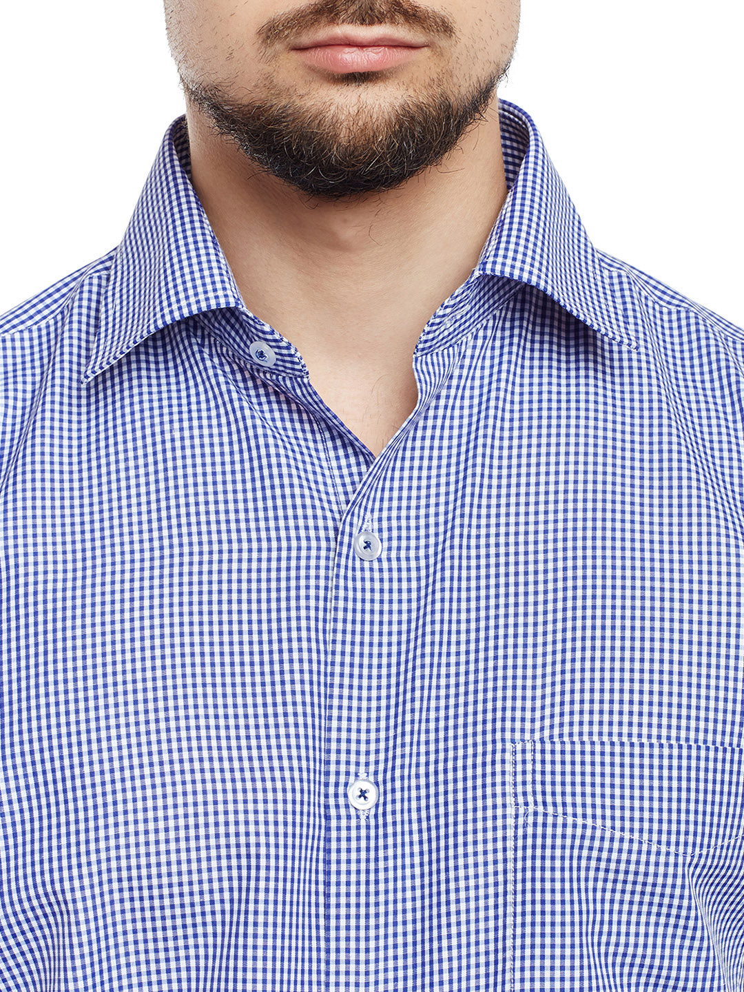 Men Blue & White Checked Regular Fit Formal Shirt